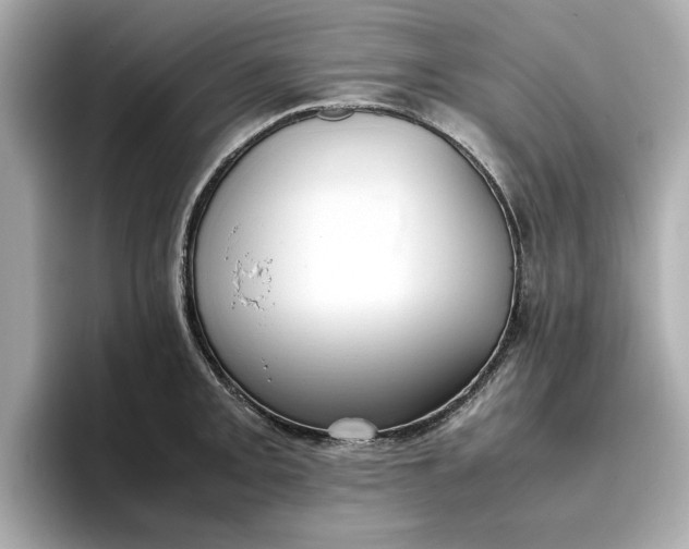 X0000096961093200802221337