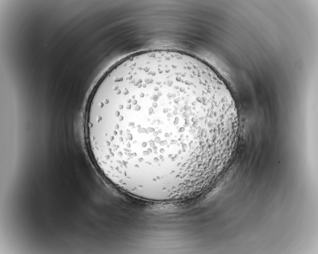 X0000096961094200802221337