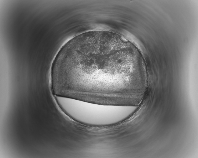 X0000096961095200802221337