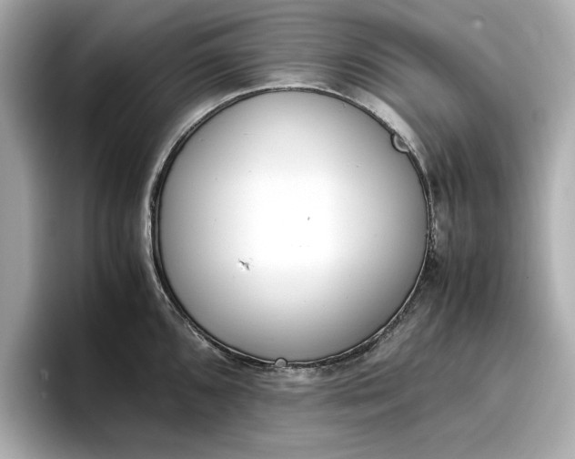 X0000096961096200802221337