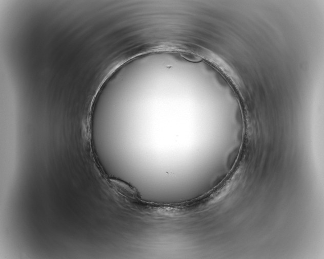 X0000096961097200802221337