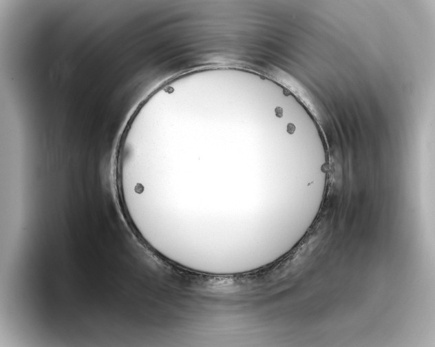 X0000096961098200802221337