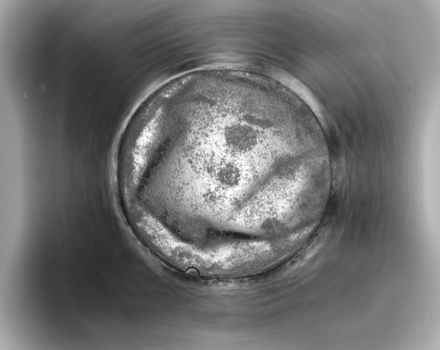 X0000096961099200802221337