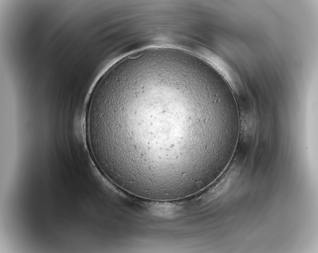 X0000096961100200802221337