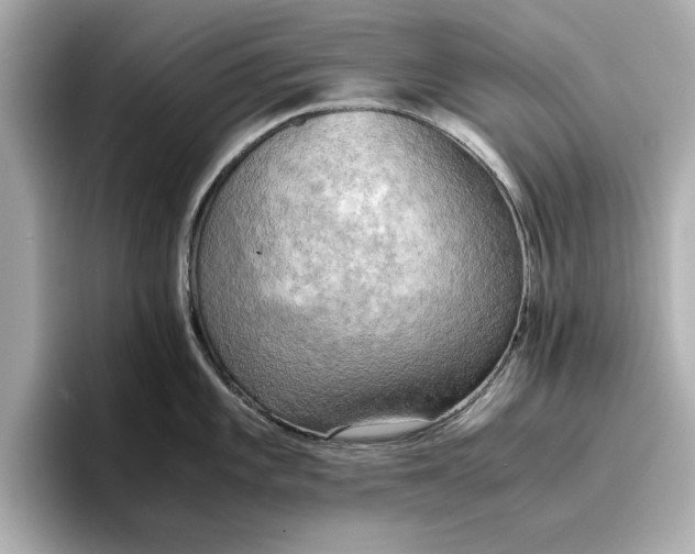 X0000096961101200802221337