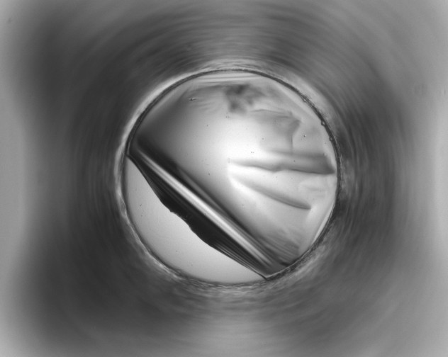 X0000096961102200802221337