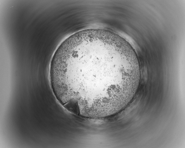 X0000096961103200802221337