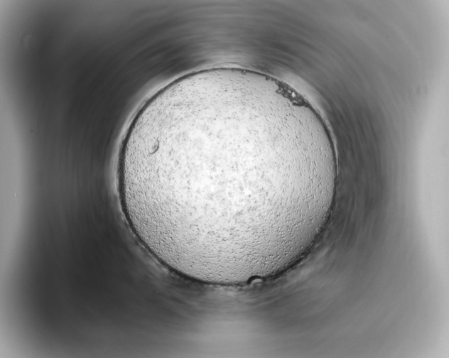 X0000096961104200802221337