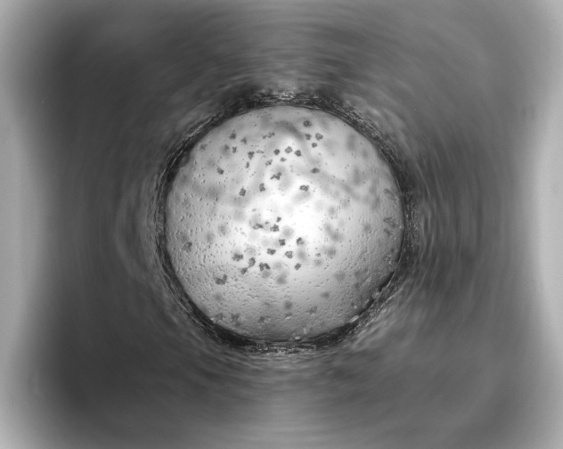 X0000096961105200802221336