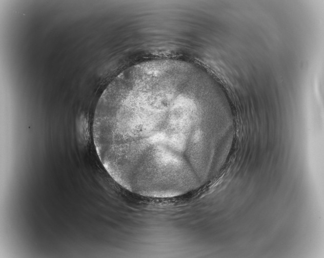 X0000096961106200802221336