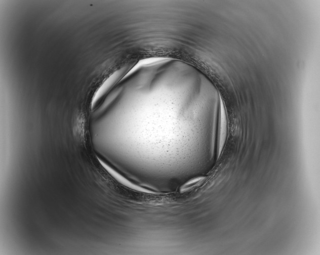 X0000096961108200802221336