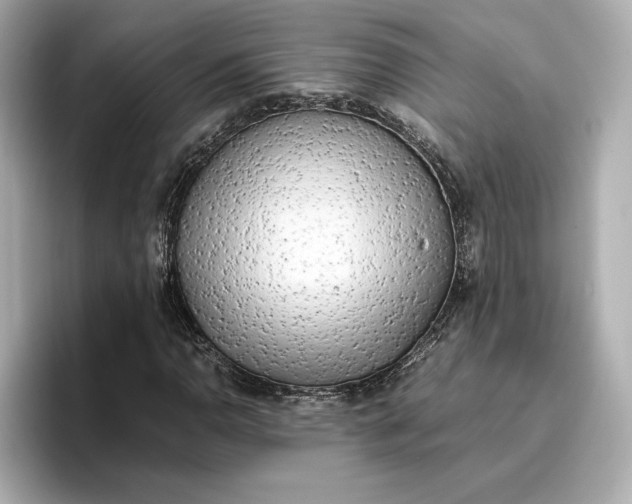 X0000096961110200802221336