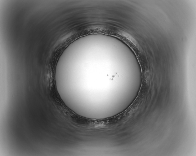 X0000096961111200802221336