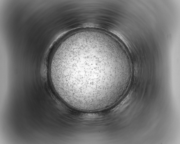 X0000096961115200802221337