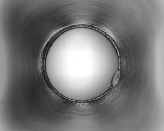 X0000096961116200802221337