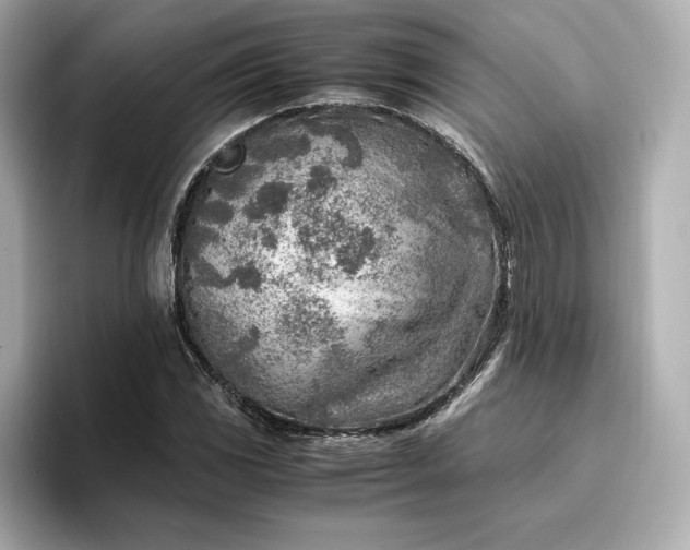 X0000096961117200802221337