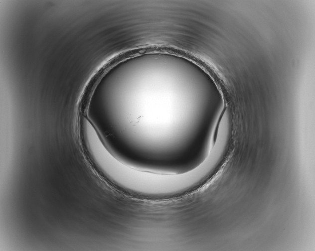 X0000096961118200802221337