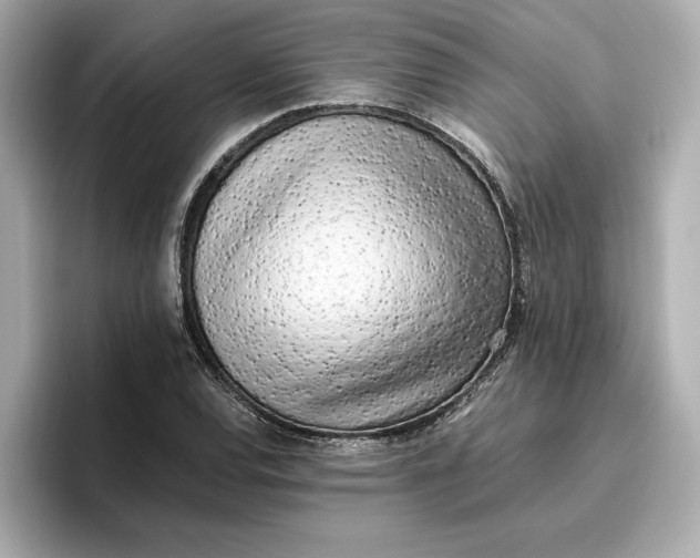 X0000096961120200802221337