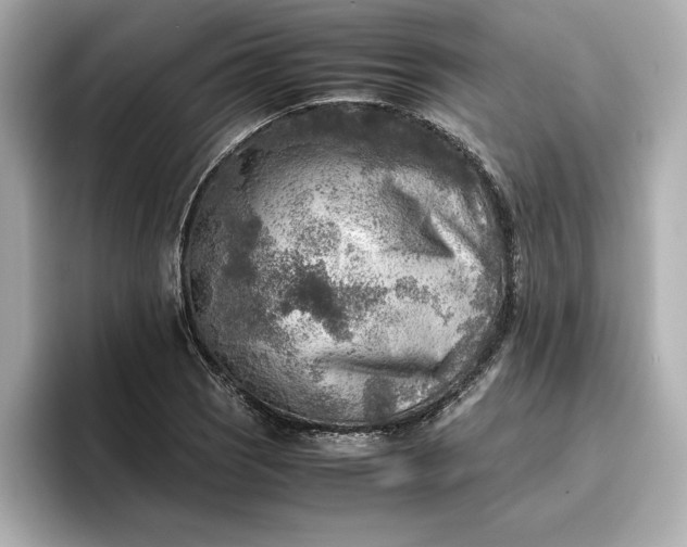 X0000096961121200802221337