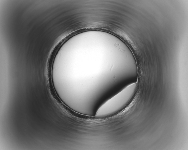 X0000096961122200802221337