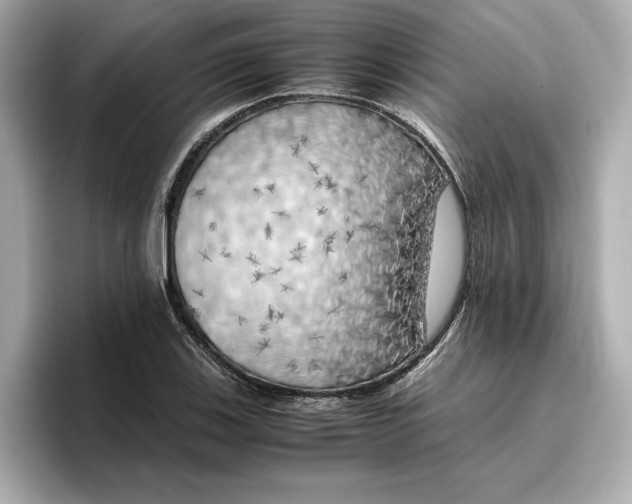 X0000096961123200802221337