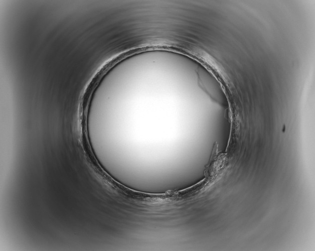 X0000096961124200802221337