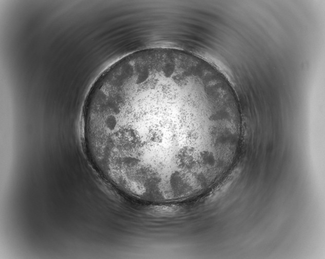 X0000096961125200802221337