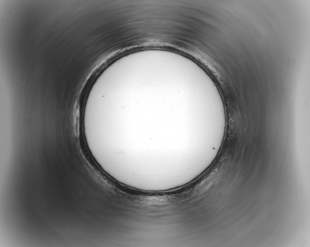 X0000096961126200802221337