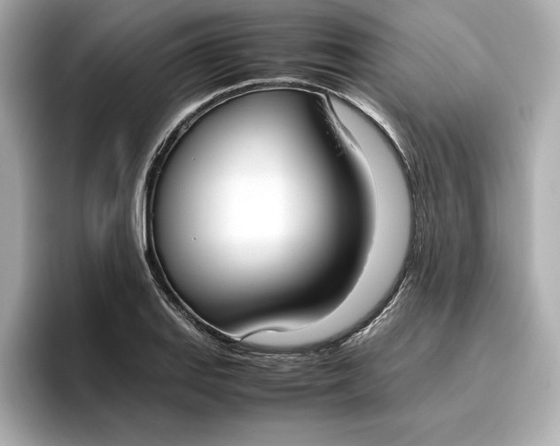 X0000096961127200802221337