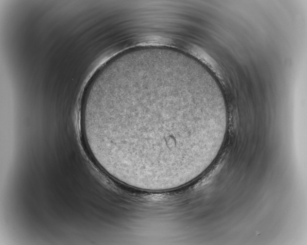 X0000096961130200802221337