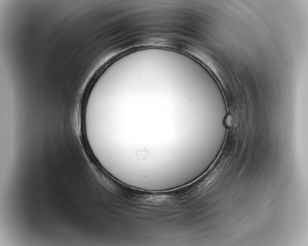 X0000096961131200802221337