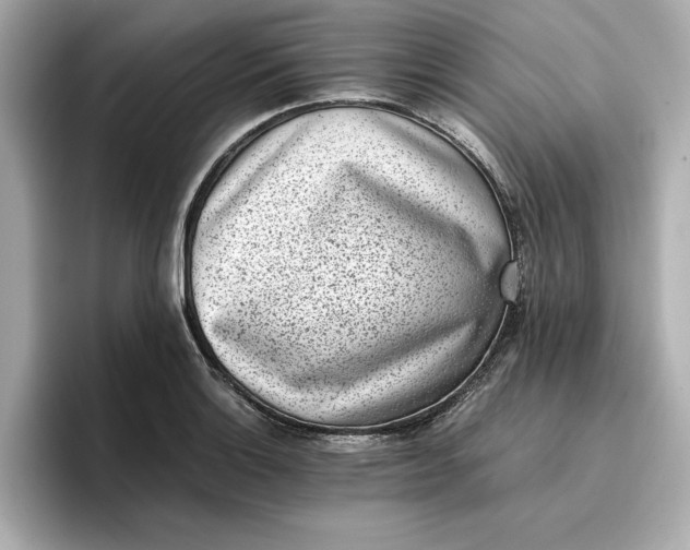 X0000096961132200802221337