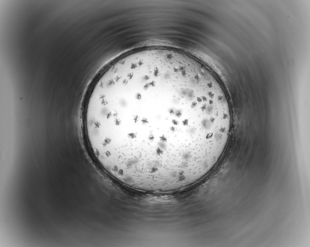 X0000096961133200802221337