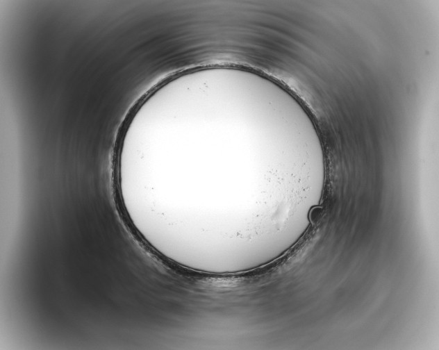 X0000096961134200802221337