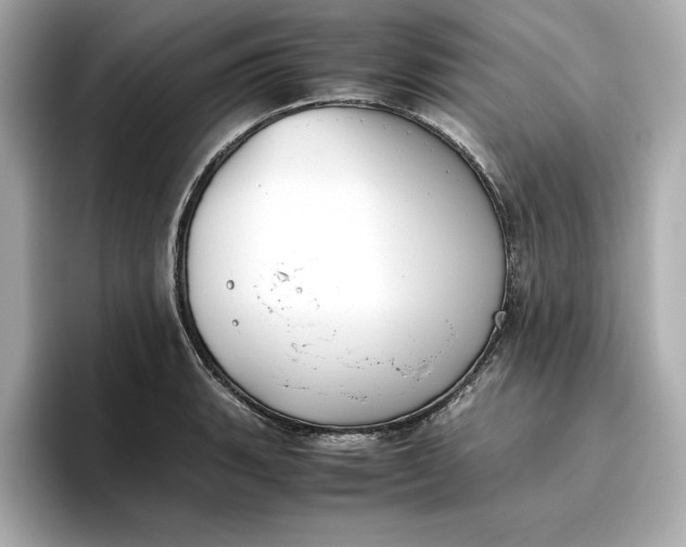 X0000096961135200802221337