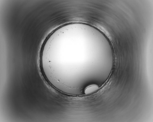 X0000096961136200802221337