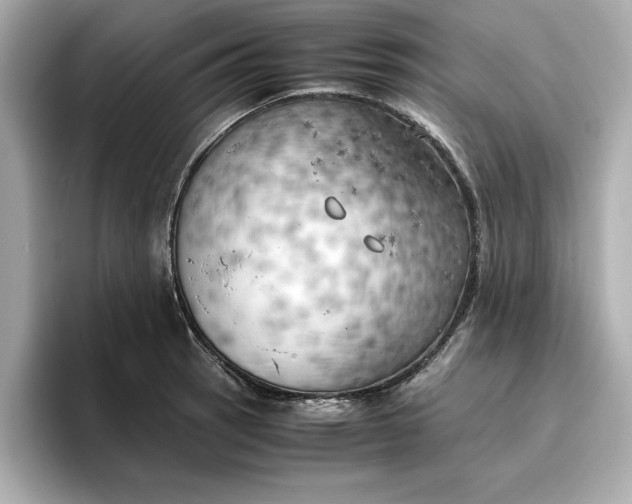 X0000096961137200802221337