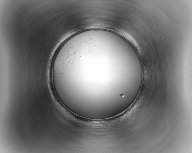 X0000096961138200802221337