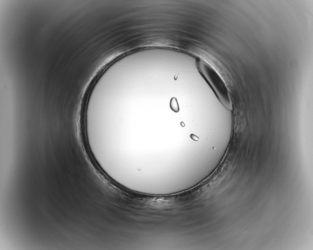 X0000096961139200802221337