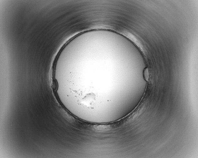 X0000096961140200802221337