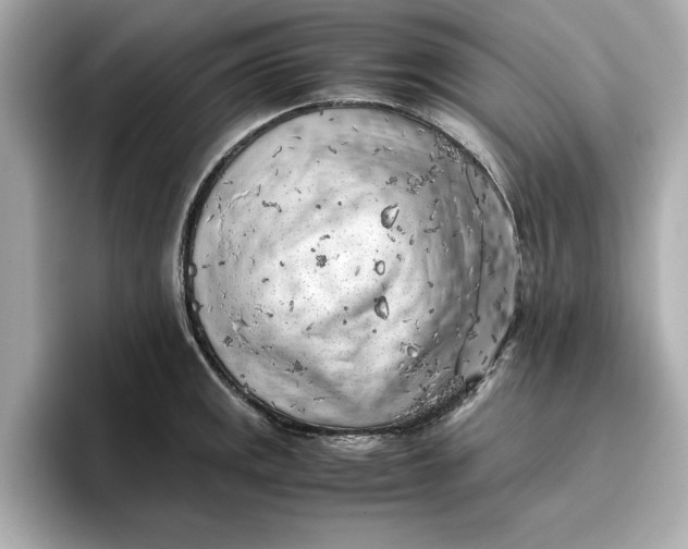 X0000096961141200802221337