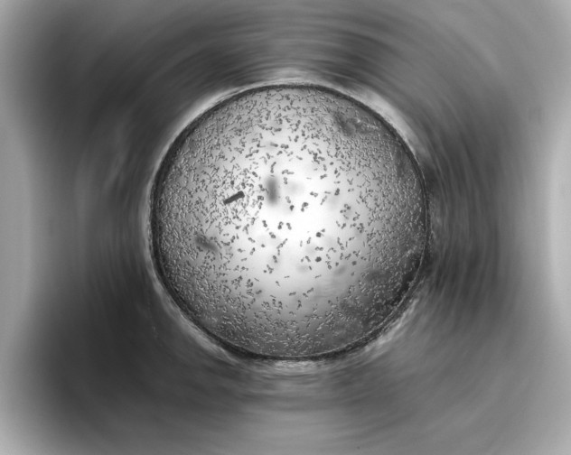 X0000096961142200802221337