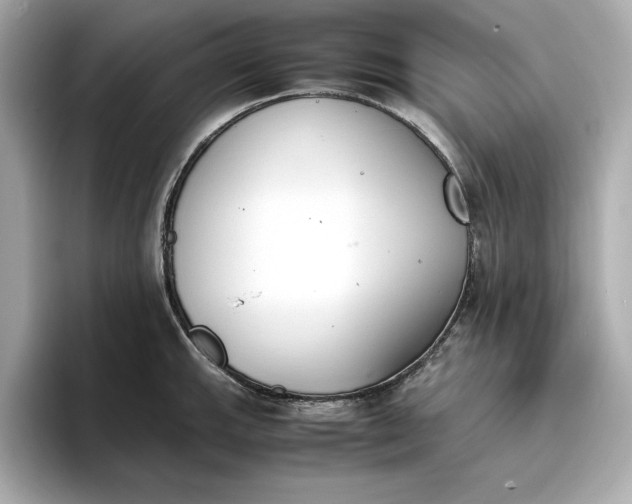 X0000096961143200802221337