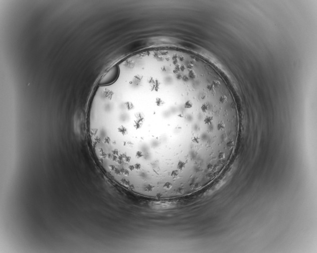 X0000096961145200802221337