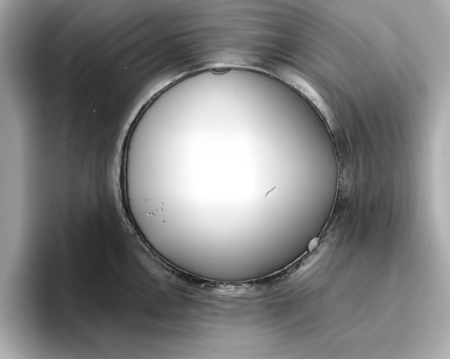 X0000096961146200802221337