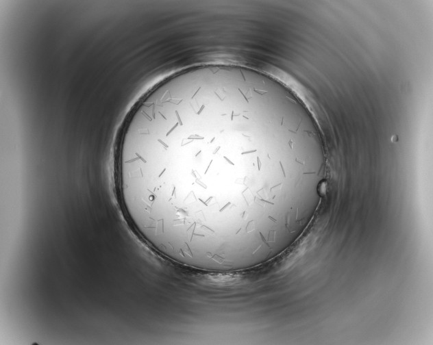 X0000096961147200802221337