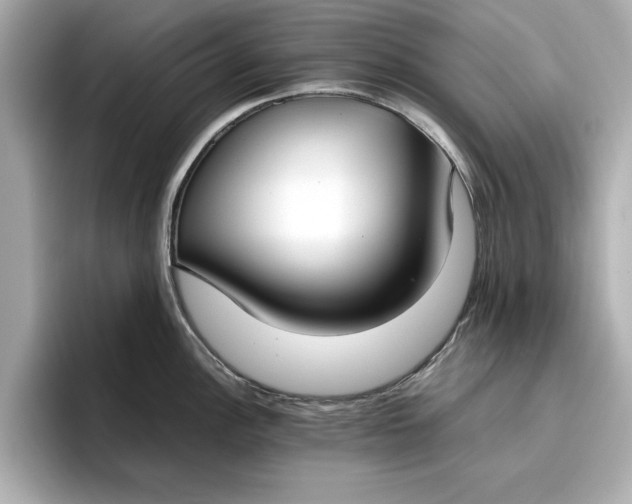 X0000096961148200802221337