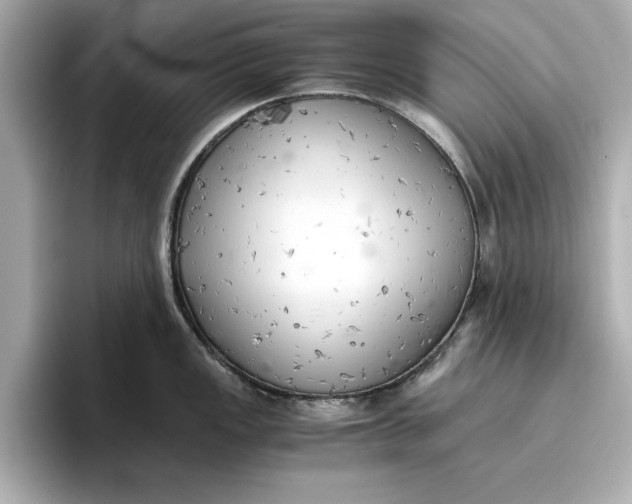 X0000096961149200802221337