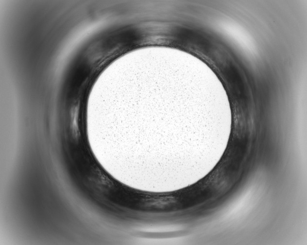 X0000096961150200802221337