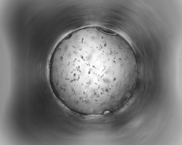 X0000096961151200802221337